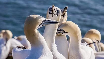 巴萨枪手二签,穆帅首签,克雷斯赴英超,米兰热刺新动态